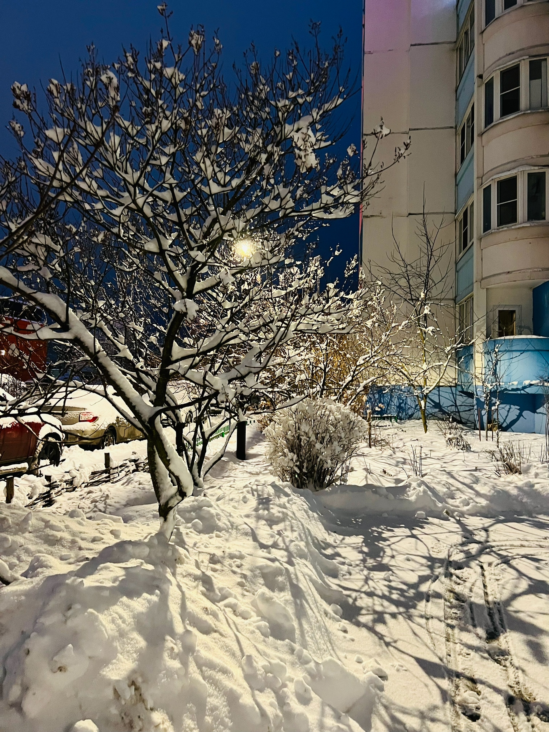 ???? Лиса Лихачева — Краснознаменск