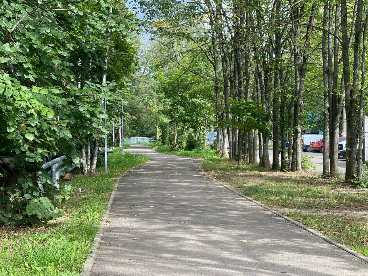 Прогулка по городу. — Краснознаменск