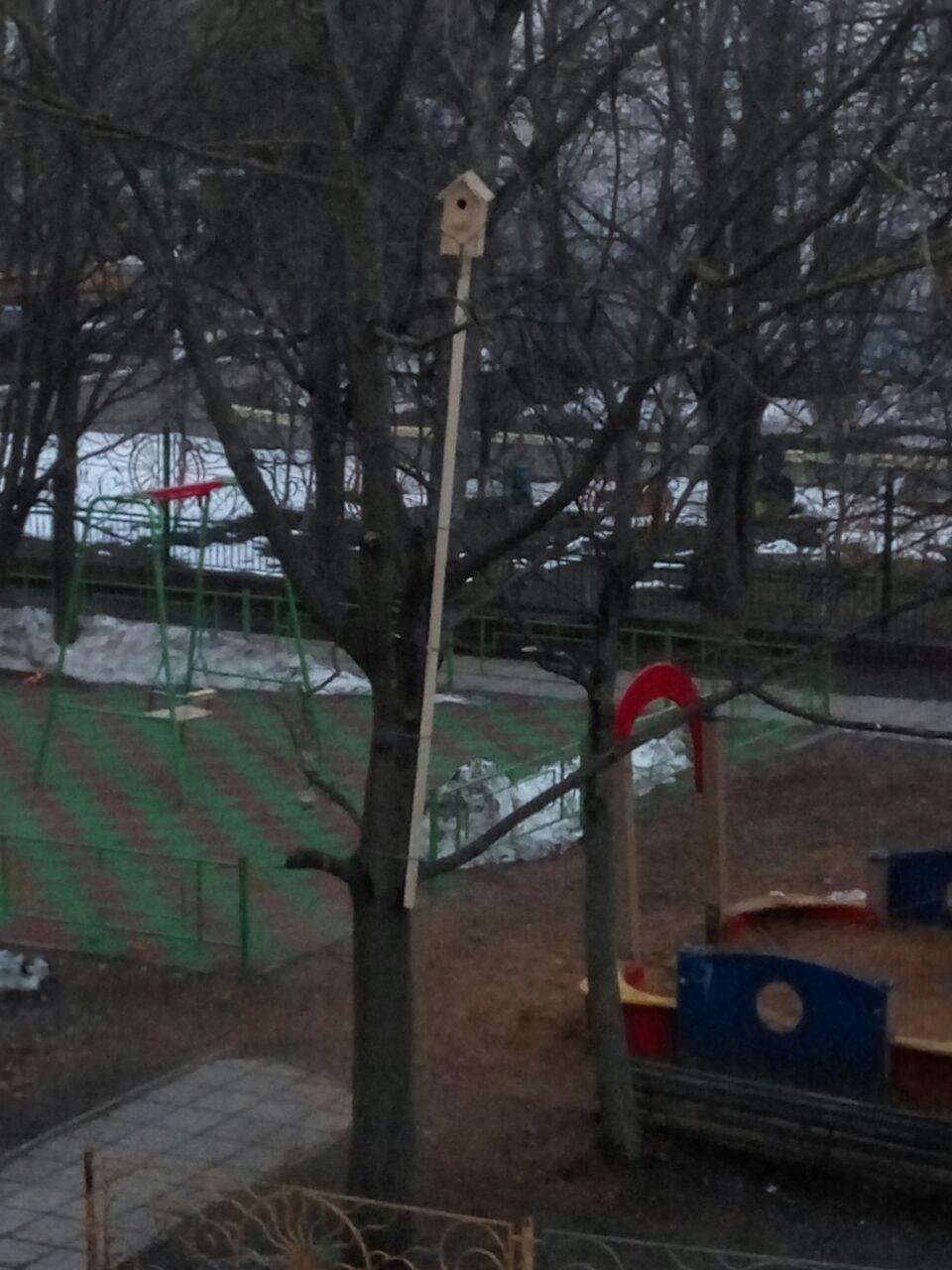 И номинация на самый длинноногий скворечник