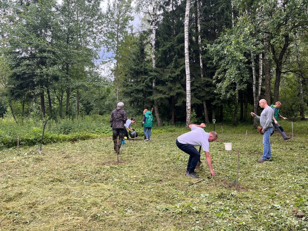 В городском парке новые зеленые друзья  Сегодня сотрудники п