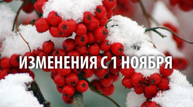 Что изменится в жизни россиян с ноября 2021 года  ✅ Когда за