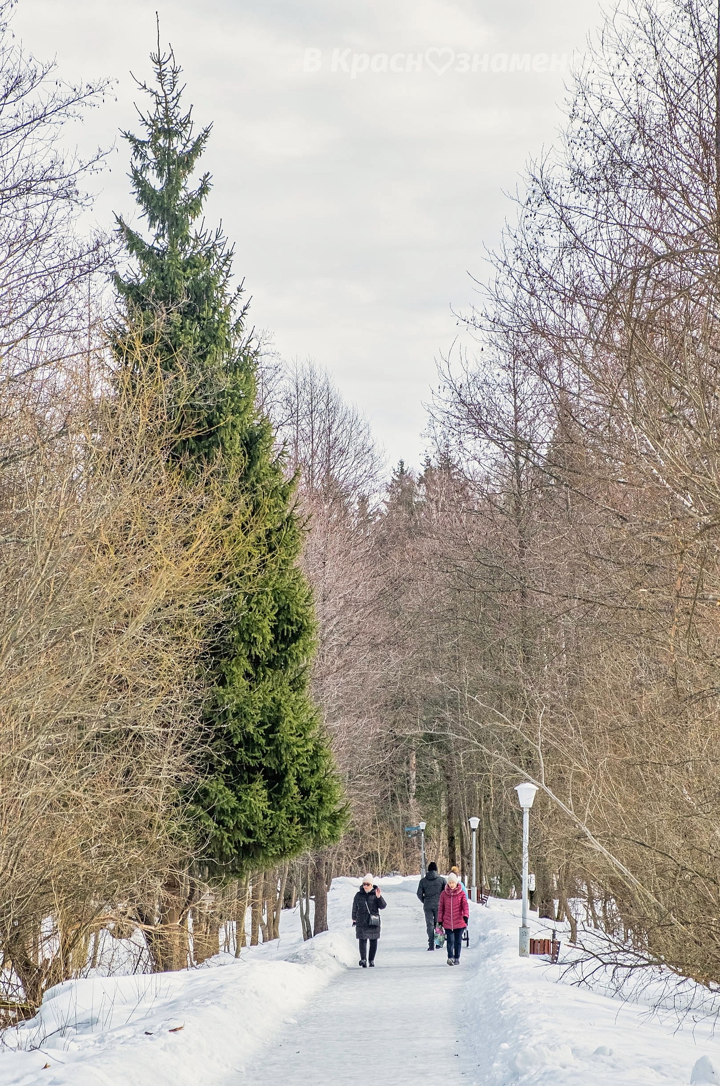 Прогулка по городскому парку — Краснознаменск