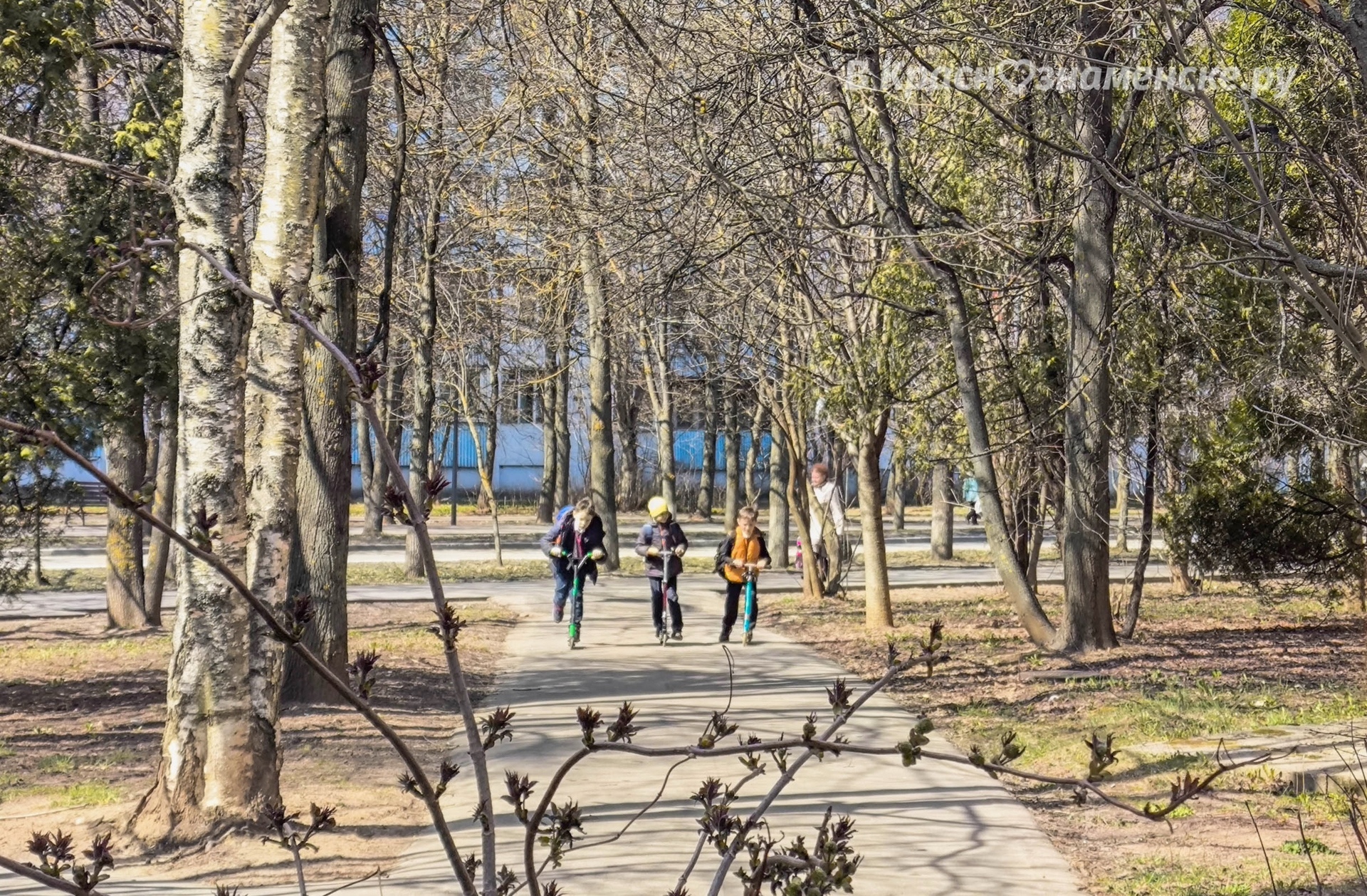 Весенняя прогулка по улицам города — Краснознаменск