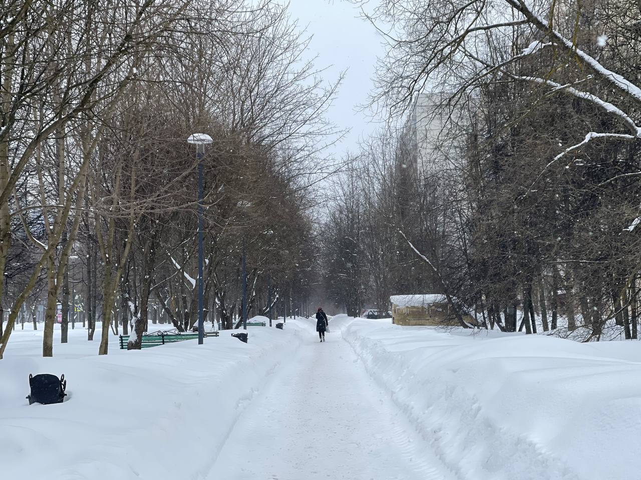 Прогулка по городу. — Краснознаменск