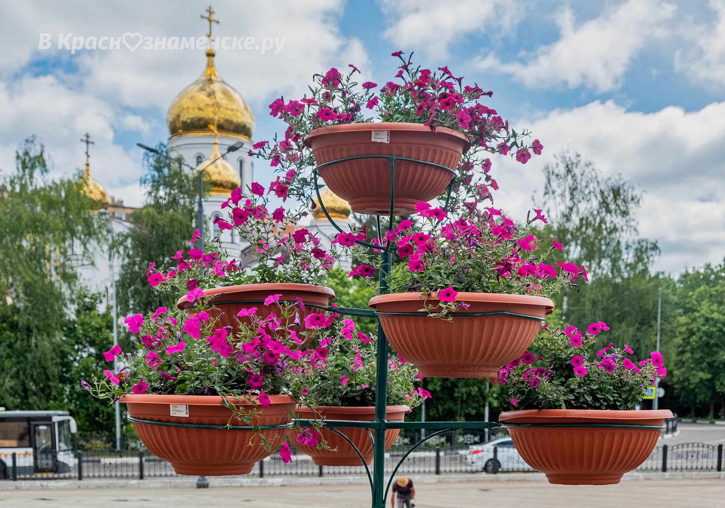Фото 7434 — Краснознаменск