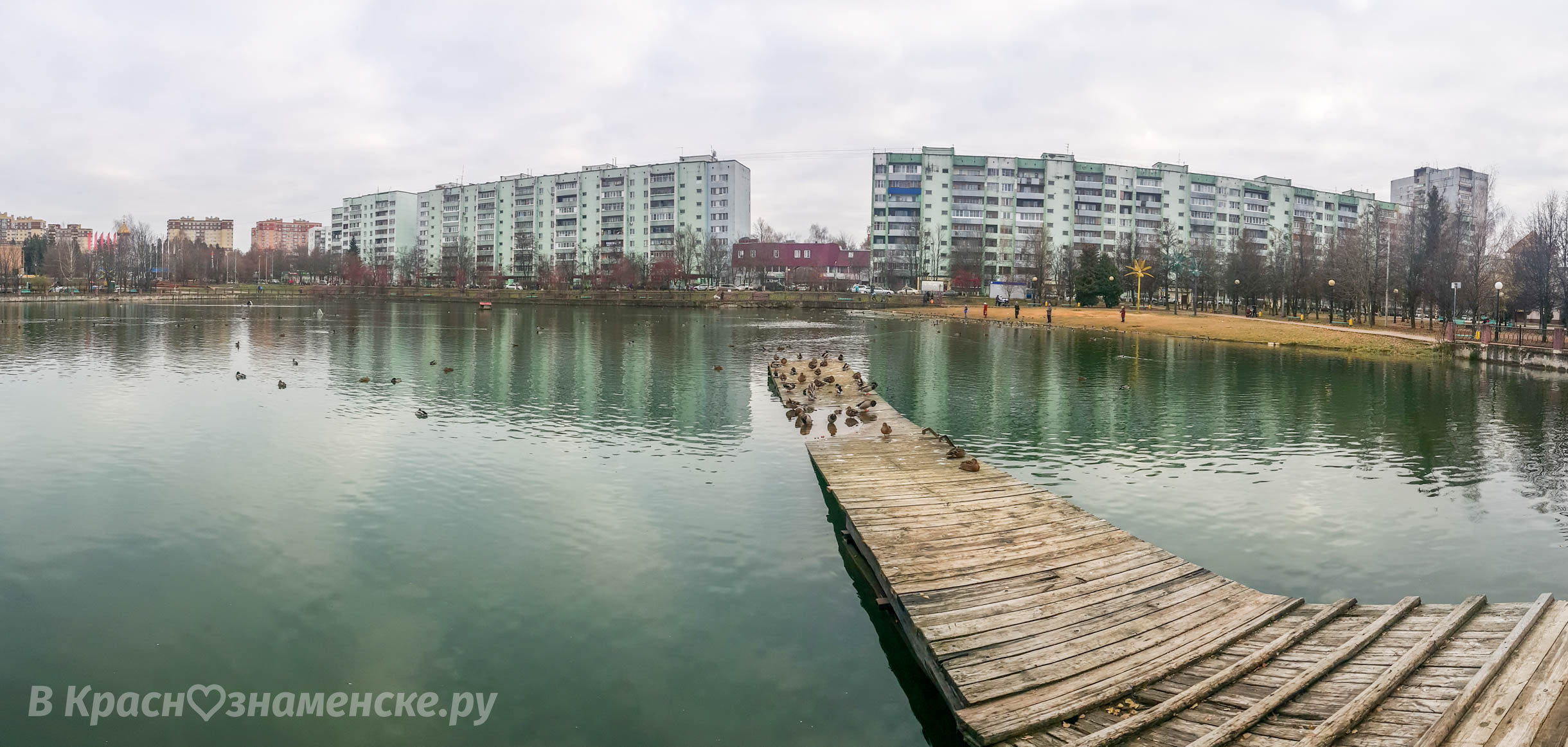 Фото 7966 — Краснознаменск