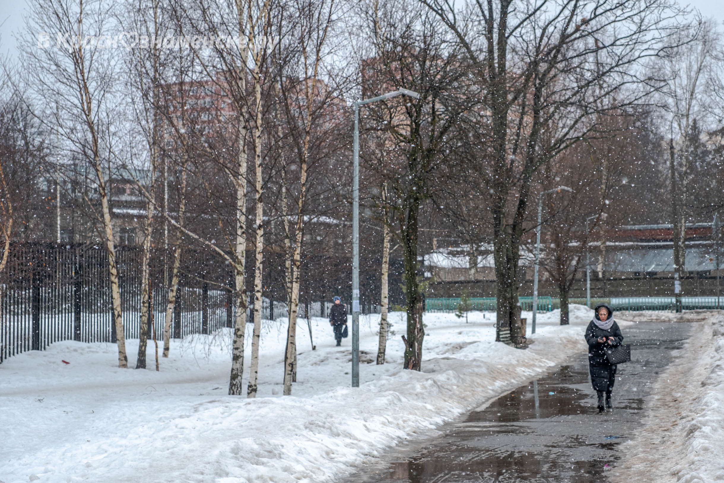 Прогулка по городу — Краснознаменск
