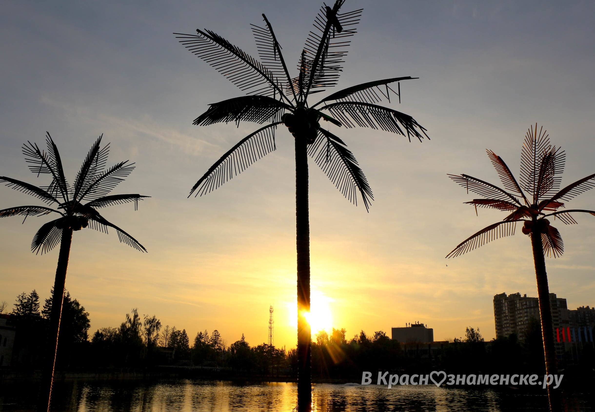 Доброе утро, Краснознаменск! ???? Утром +11°…+21°, Облачно с пр
