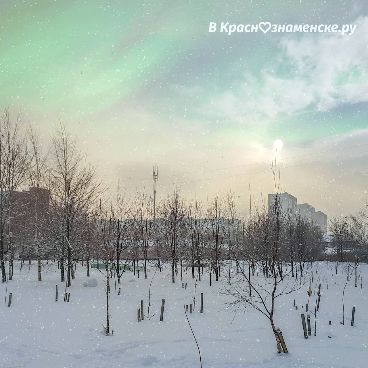 Полярный Краснознаменск