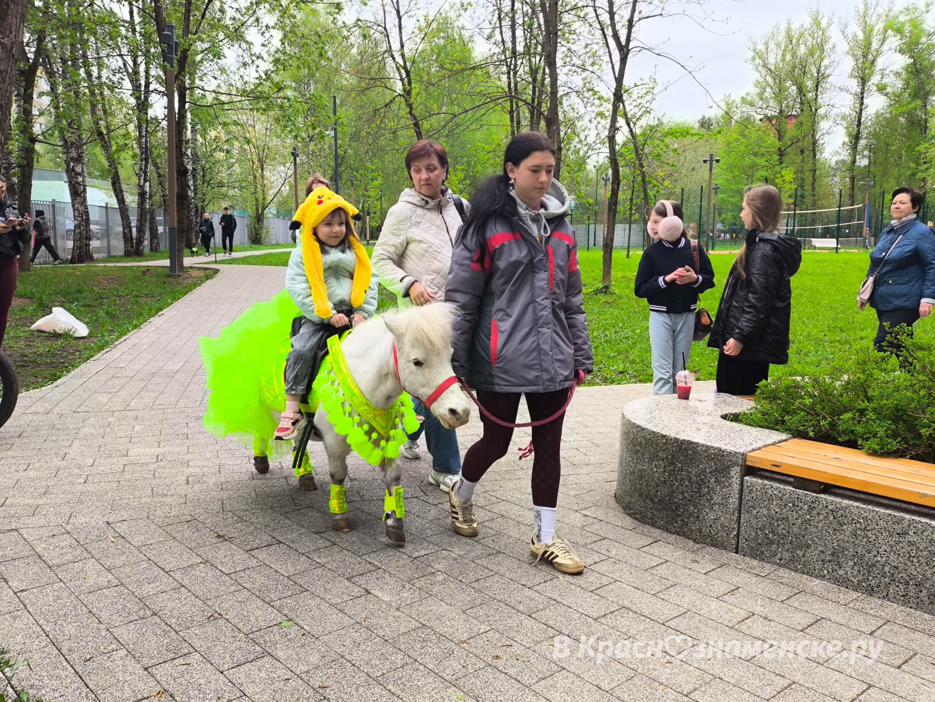 Катание на лошадях в Беличьем парке около центрального входа