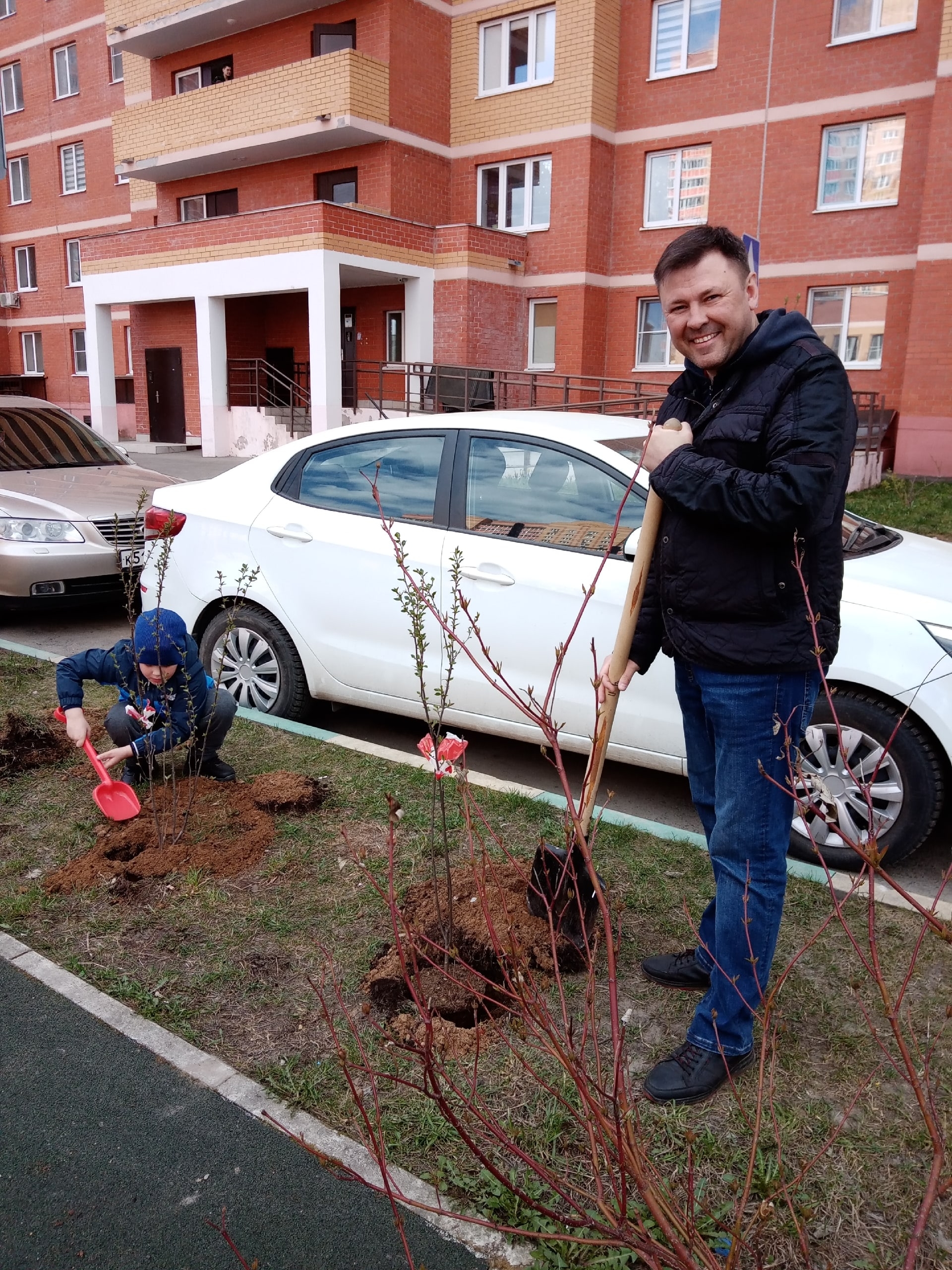 Сегодня были высажены 35 кустарников жителями дома, председа