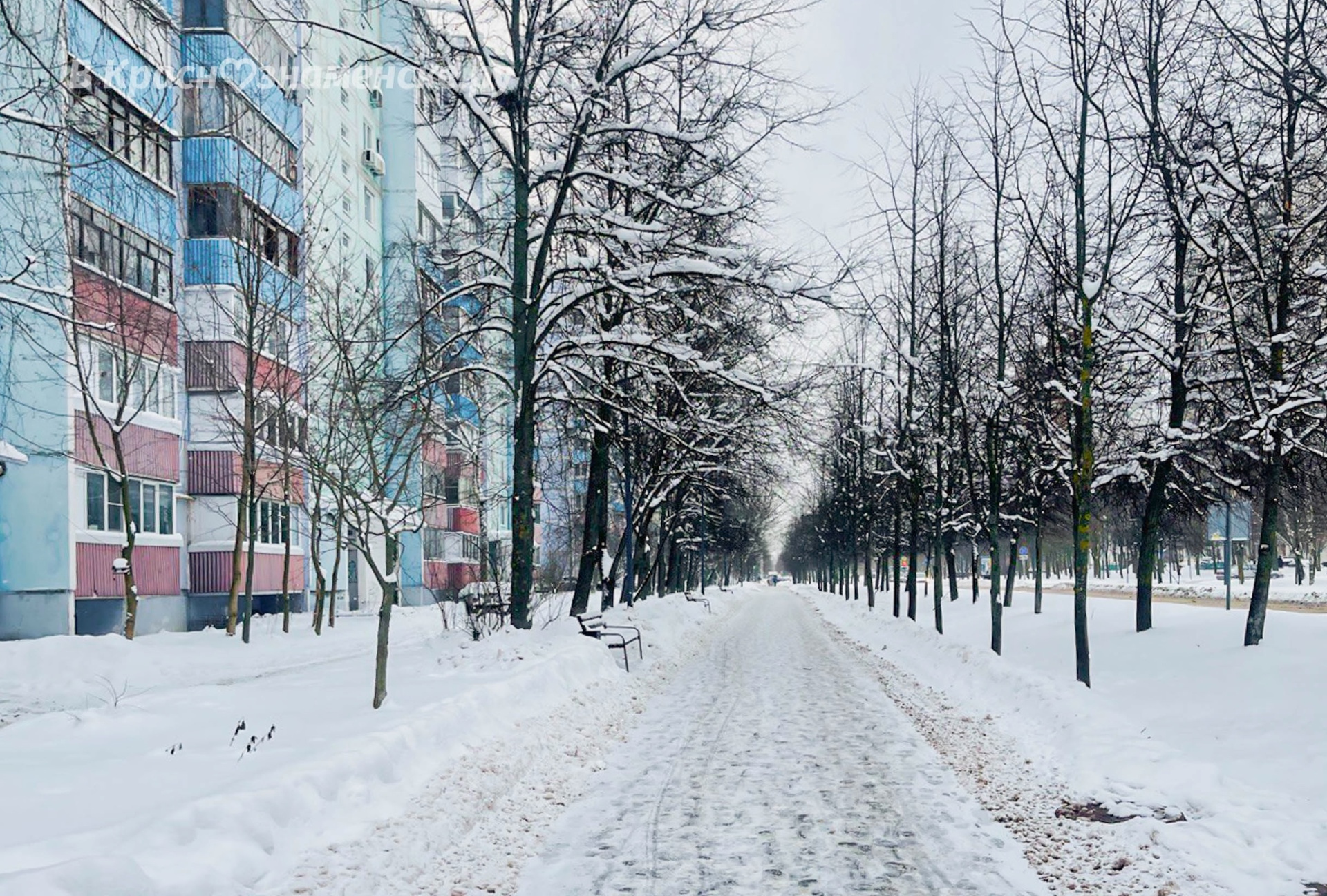 Прогулка по городу — Краснознаменск
