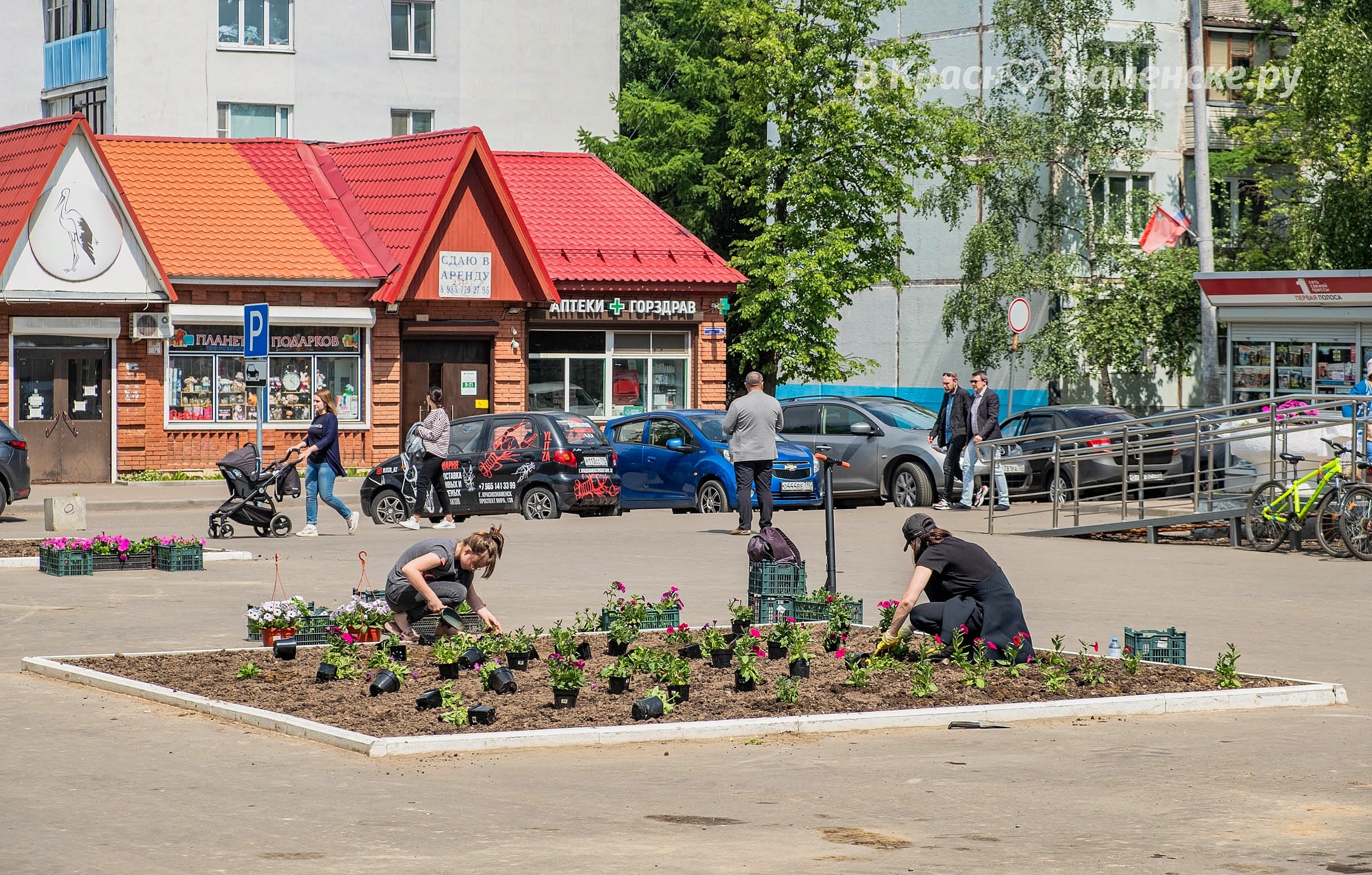 Фото 33763 — Краснознаменск