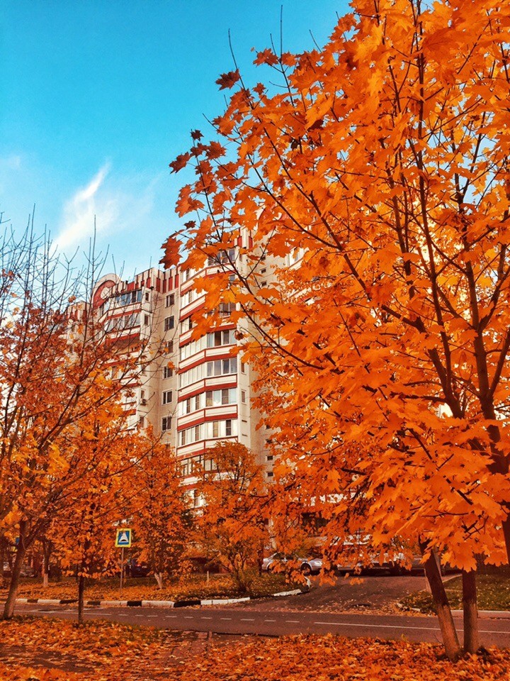 фото: Дарья Маслова