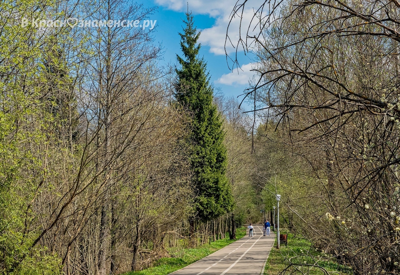Доброе утро, Краснознаменск!