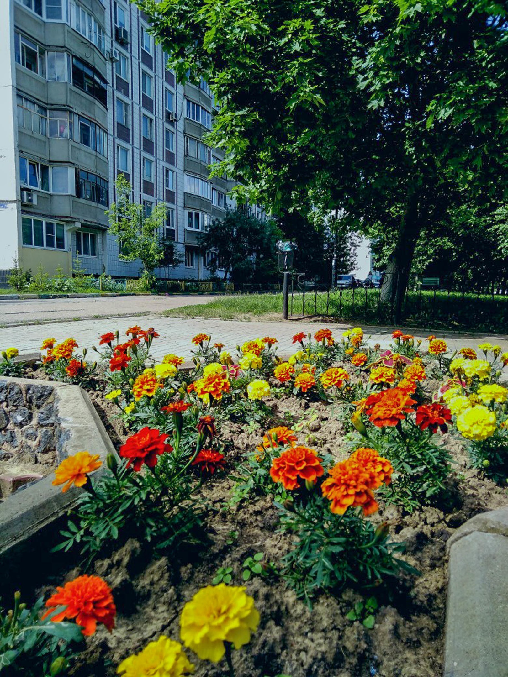 Доброе утро, Краснознаменск! Утром +15°...+19°, Облачно с пр