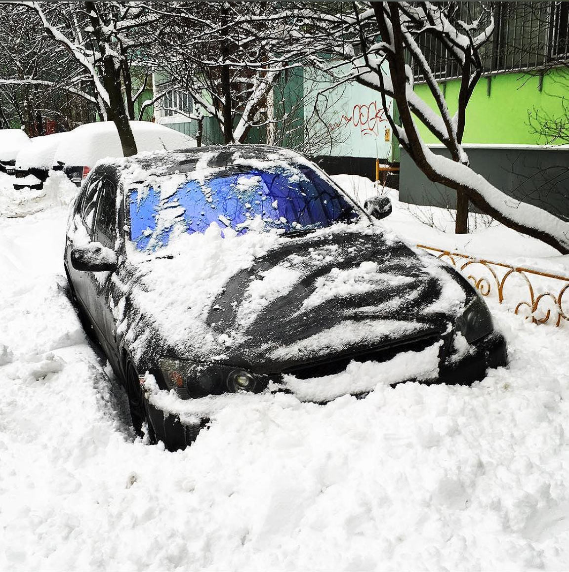 Автор фотографии Dmitriy Alekseevich