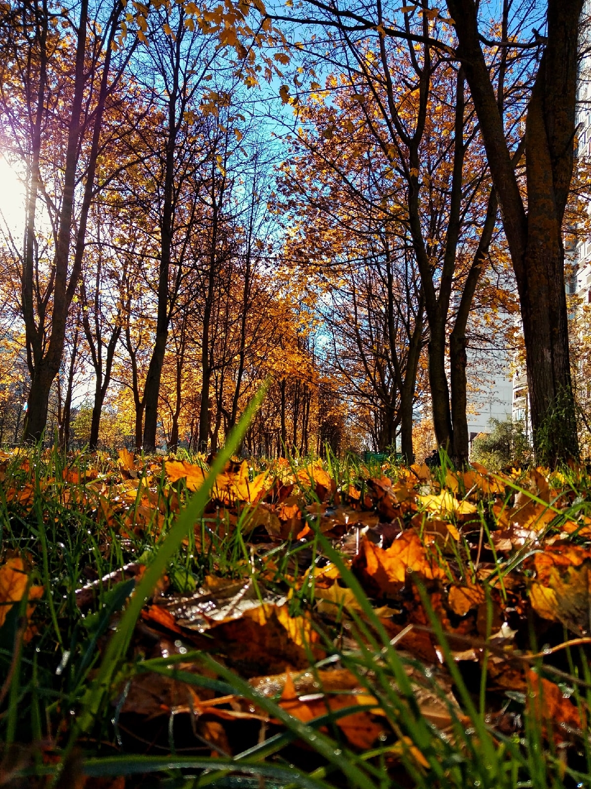 Утро в Краснознаменске.