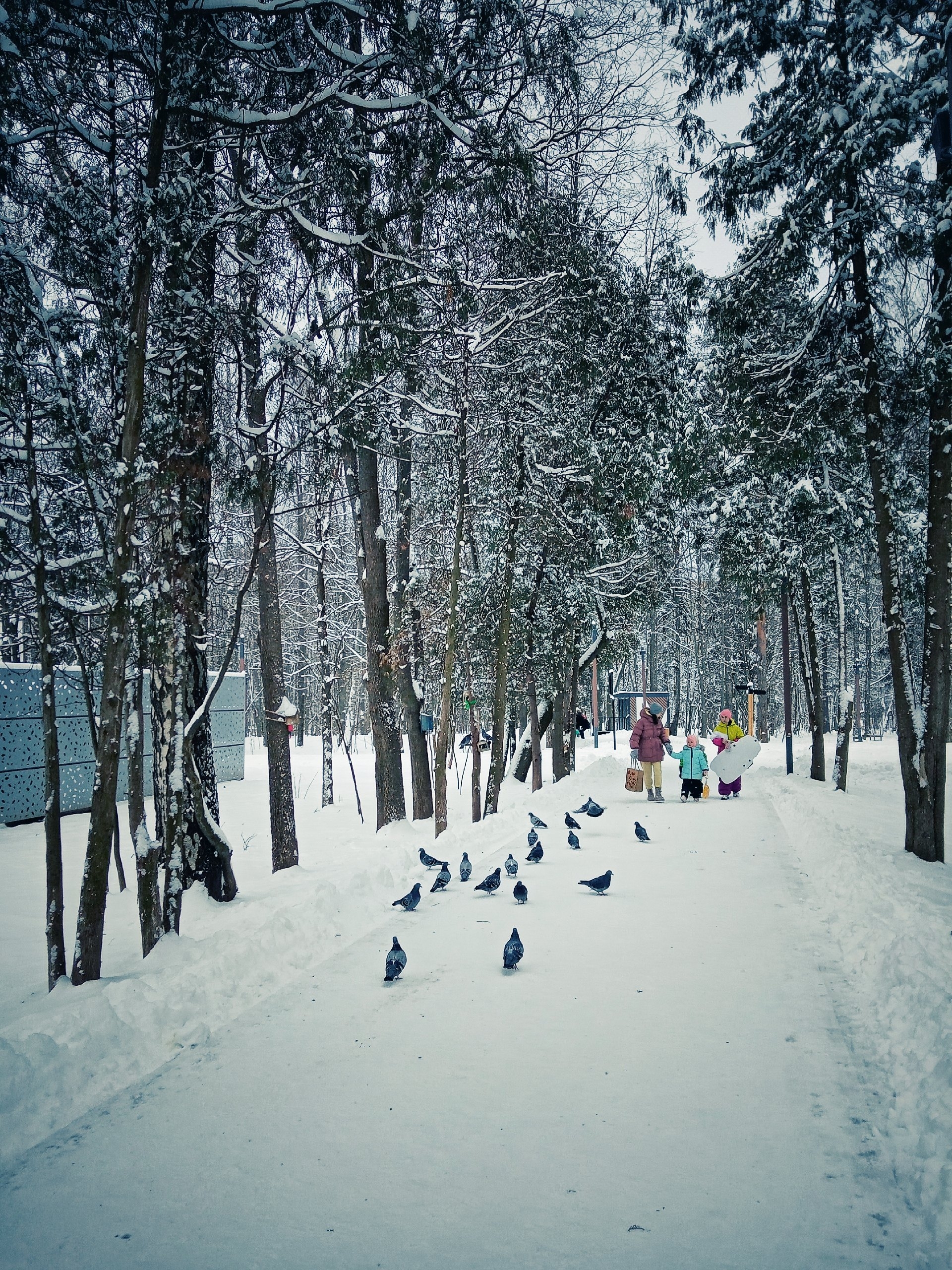 Прогулка по городу.