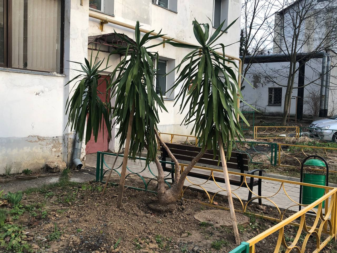 Есть и свои плюсы у климатических аномалий. Администрация, п