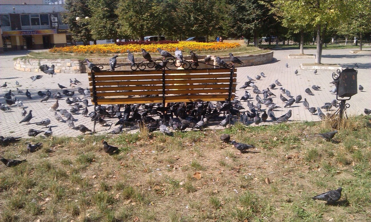 Автор фотографии Дмитрий Ставарский