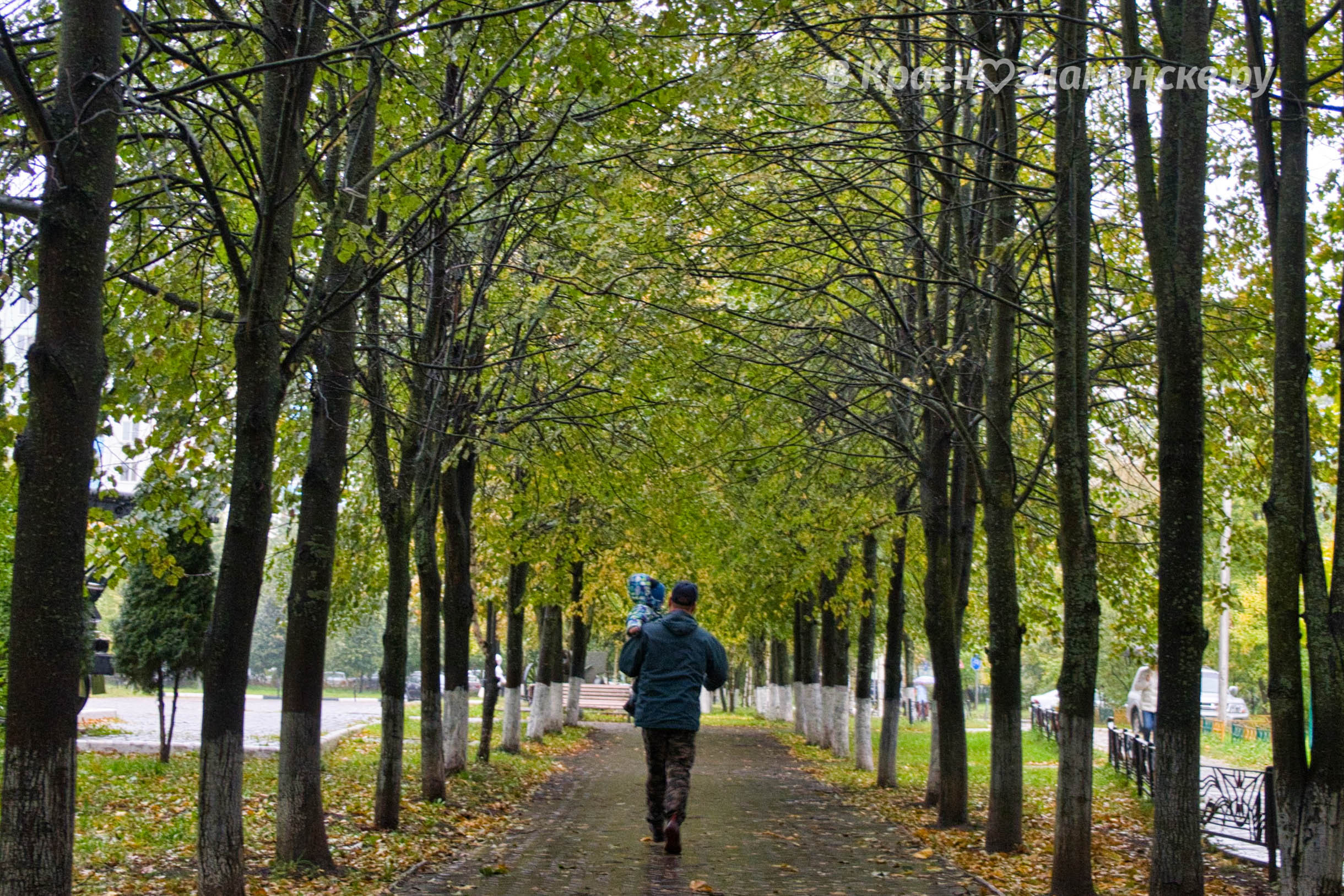 Прогулка по пасмурному Краснознаменску ☁????