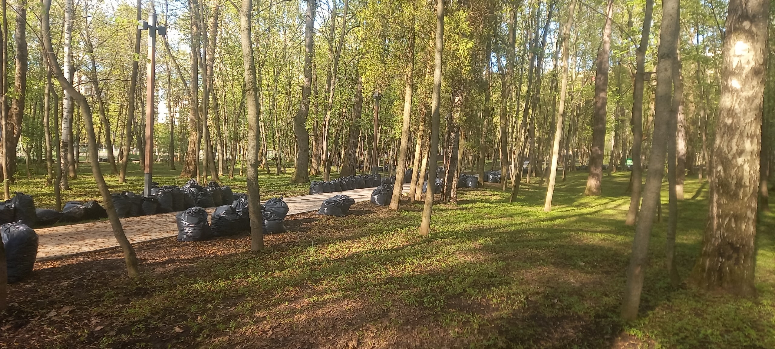 Спасибо за чистый парк — Краснознаменск