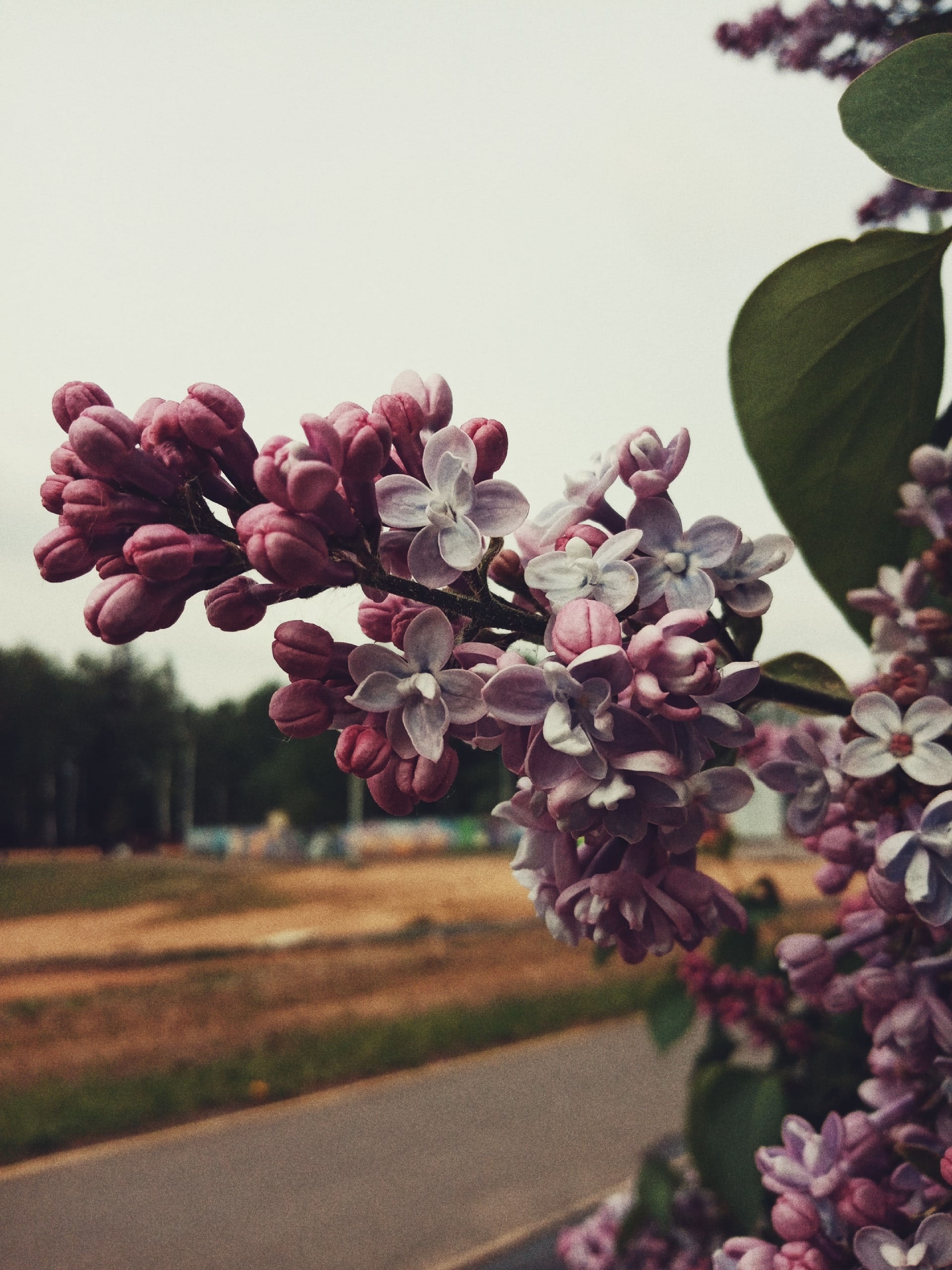 В парке. — Краснознаменск