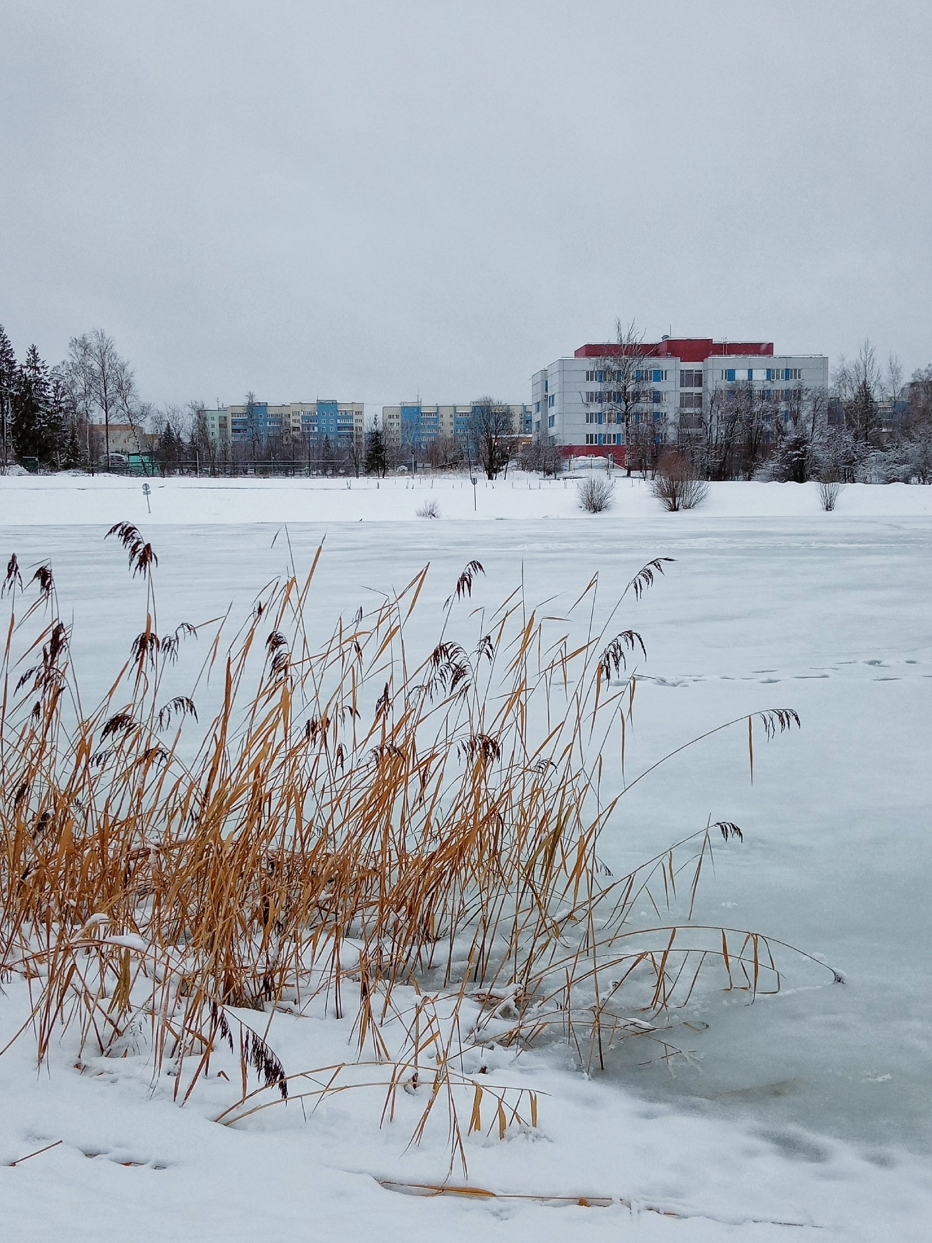 Парк.  ???? Наталья Меняйлова — Краснознаменск