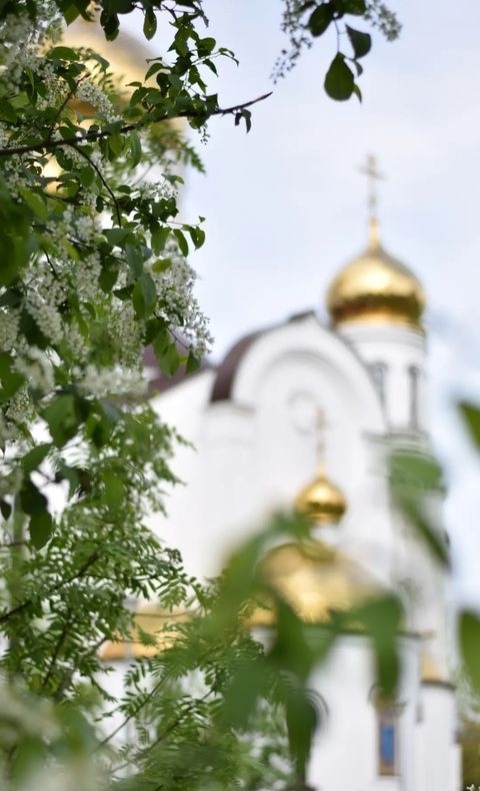 ???? Юлия Шуравенкова