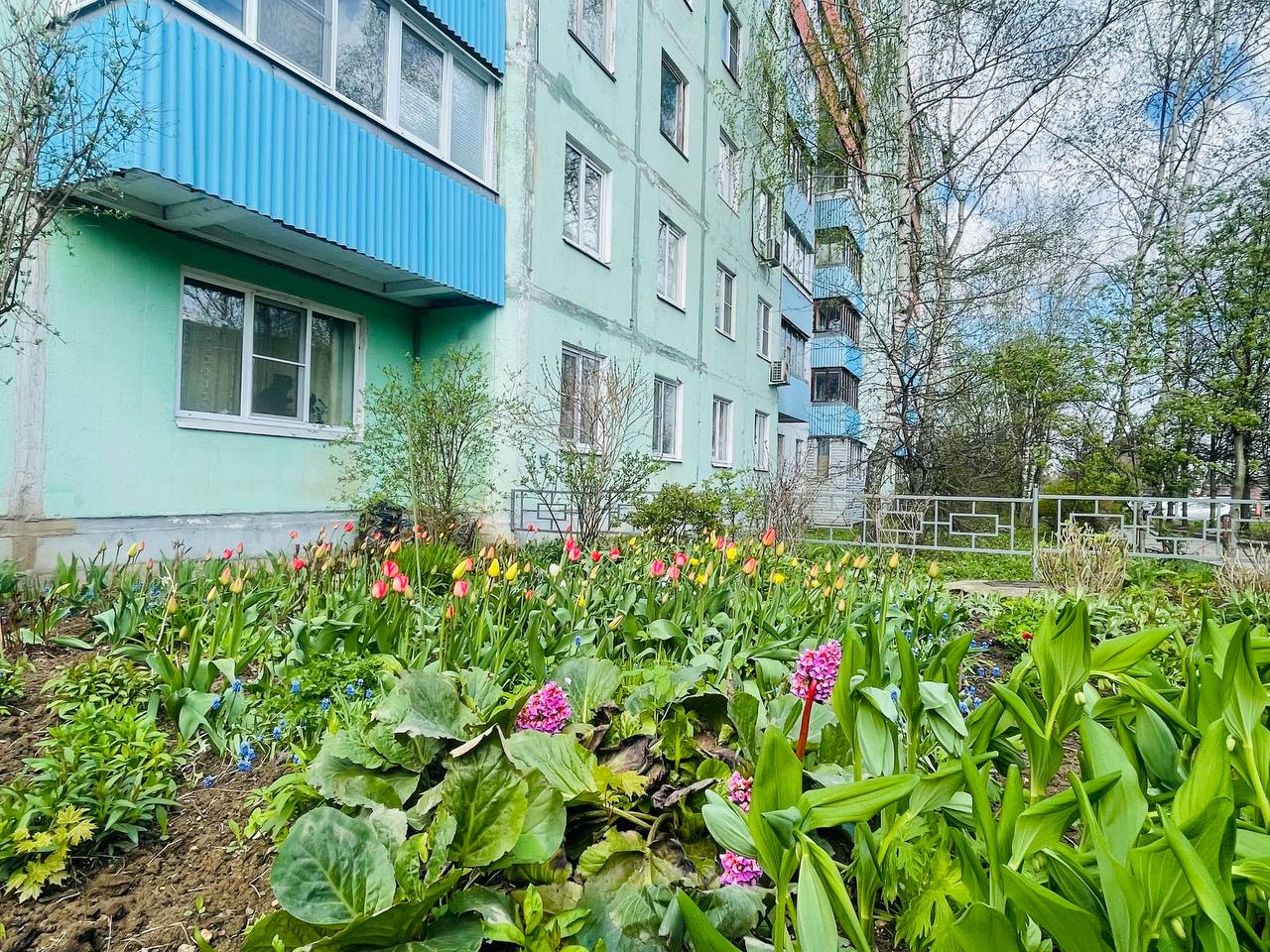 Прогулка по городу. — Краснознаменск