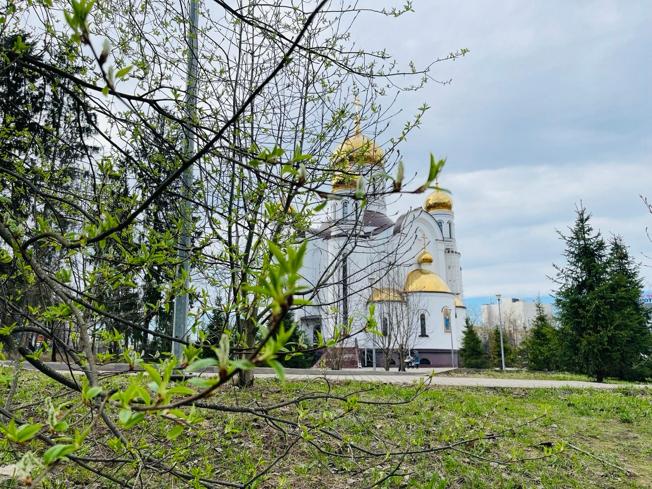 Постепенно город начинает зеленеть. Апрельская прогулка по г