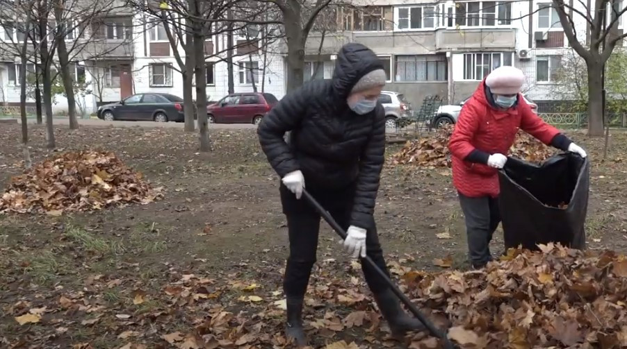Уборка листвы: за или против  На городском телевидении показ