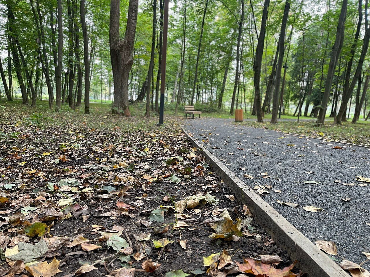 Наступает осень золотая в Краснознаменске.