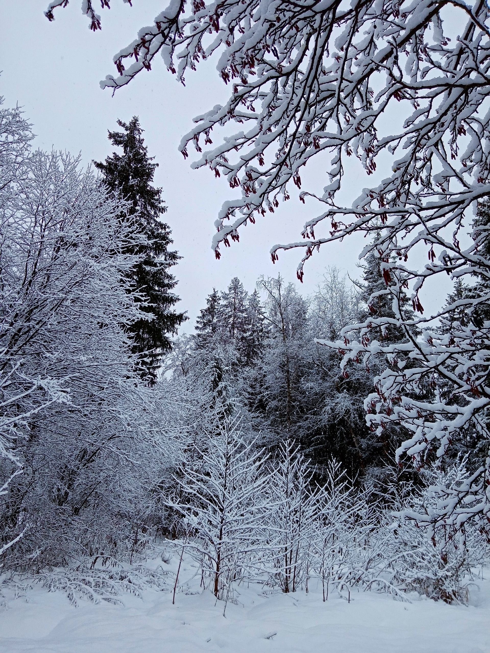 Парк.  ???? Наталья Меняйлова — Краснознаменск