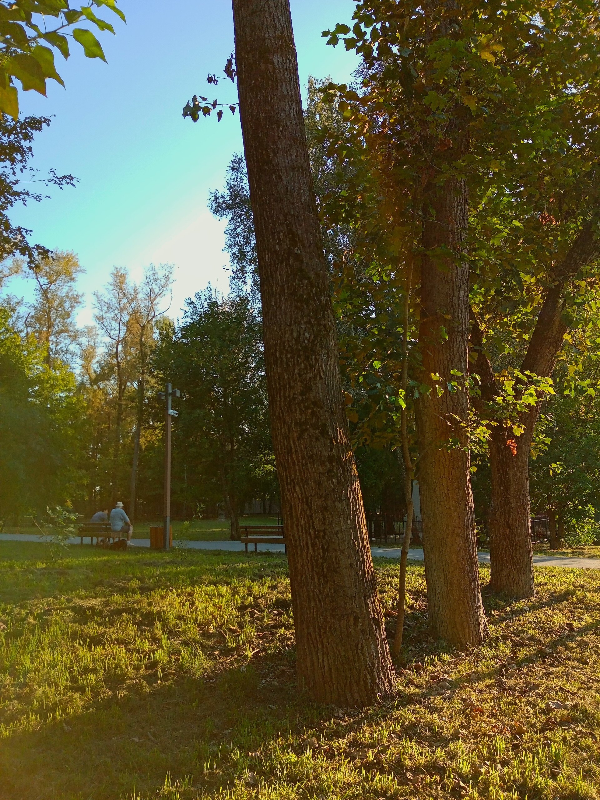 Парк "Беличий" — Краснознаменск