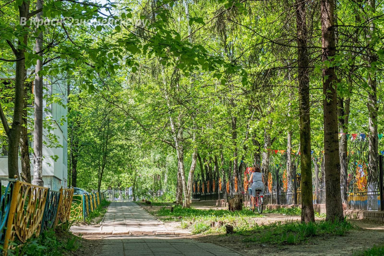 Фото 33761 — Краснознаменск
