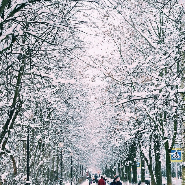 Доброе утро, Краснознаменск! Утром -4°... -2°, Небольшой сне