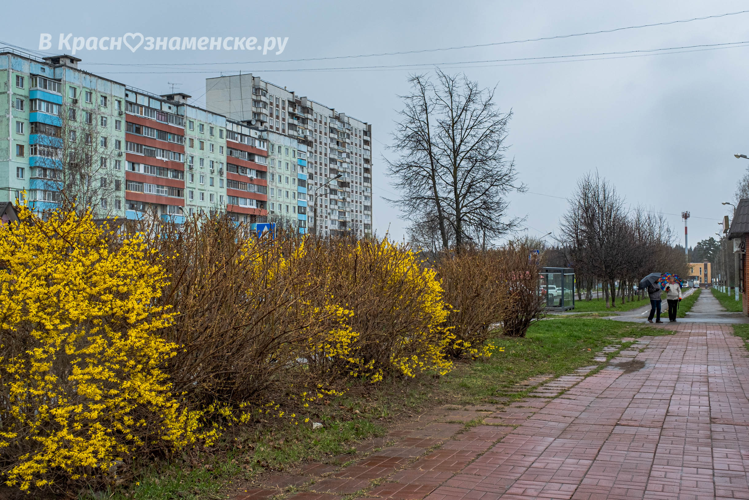 Фото 7916 — Краснознаменск