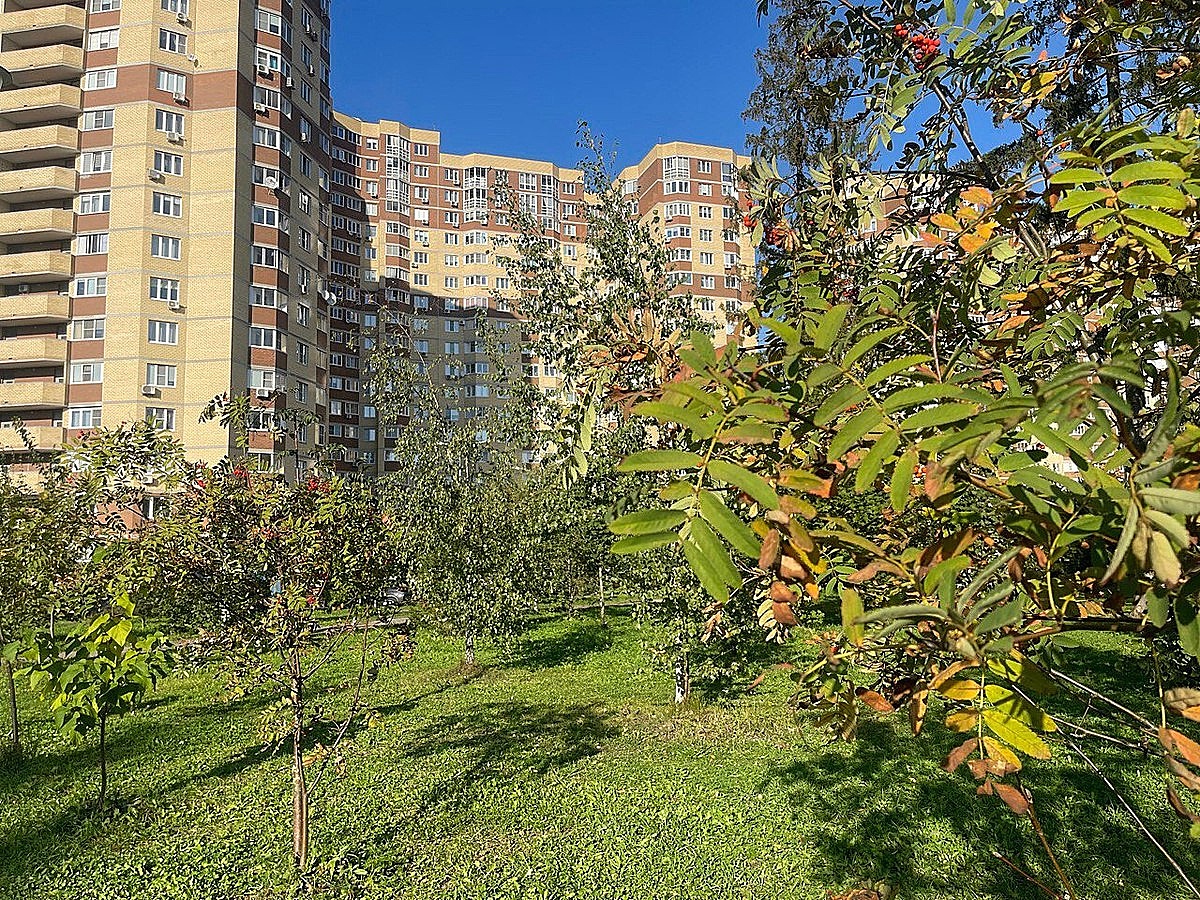 Доброе утро, Краснознаменск! Желаем вам удачного дня)