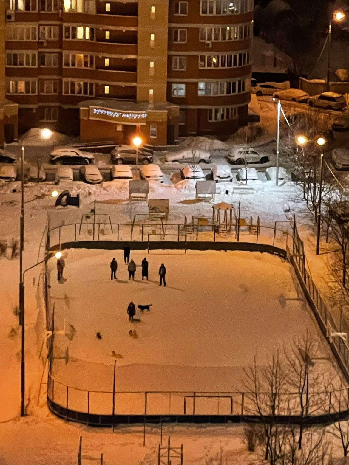 Доброе утро, Краснознаменск! Утром, +1°, Небольшой снег, Дав