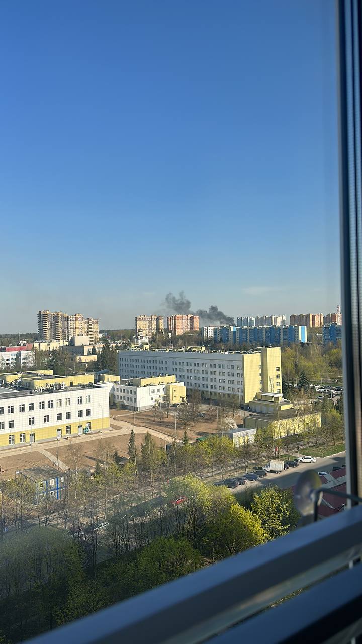 Лес горит ? =( — Краснознаменск