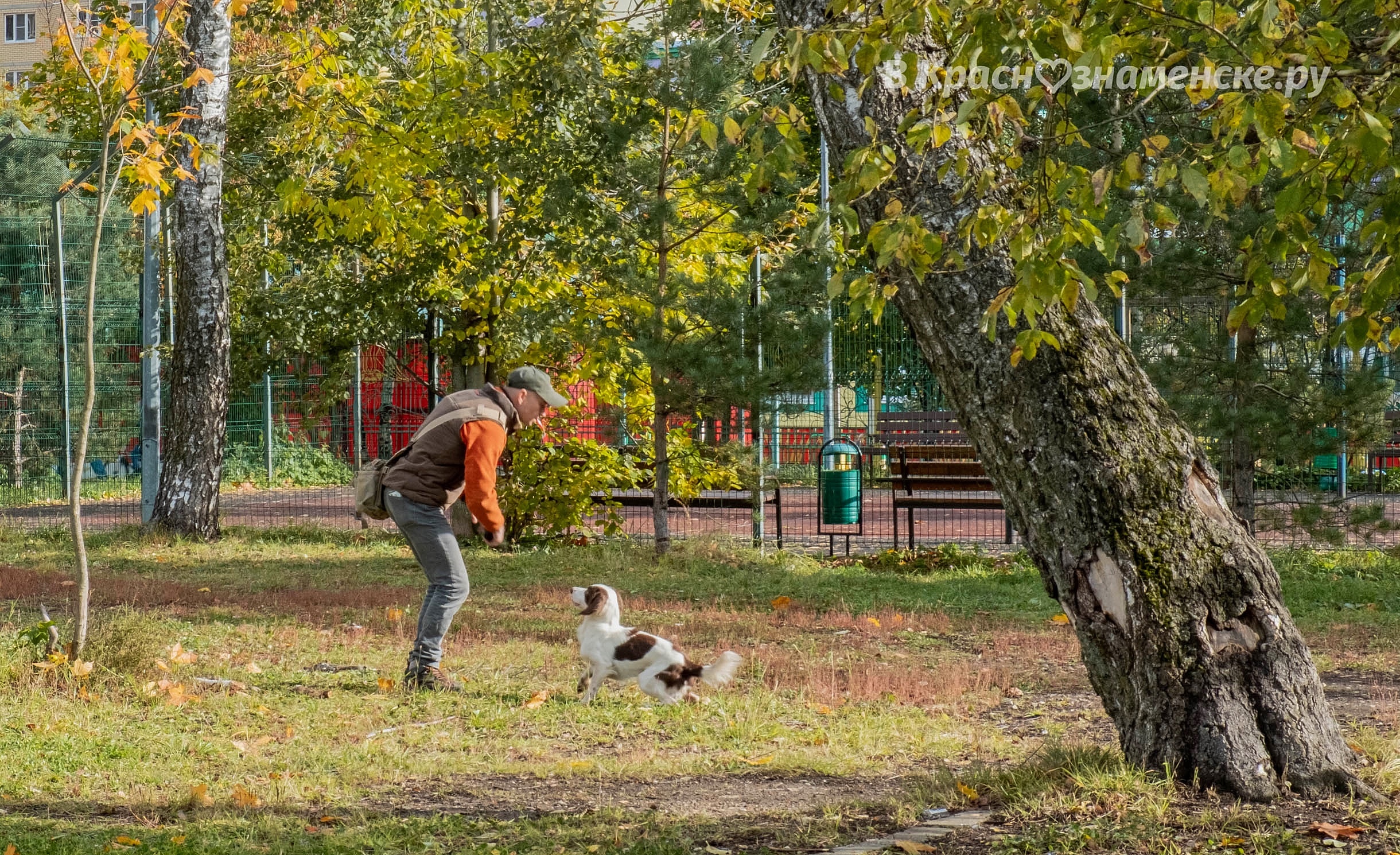 Фото 35558 — Краснознаменск