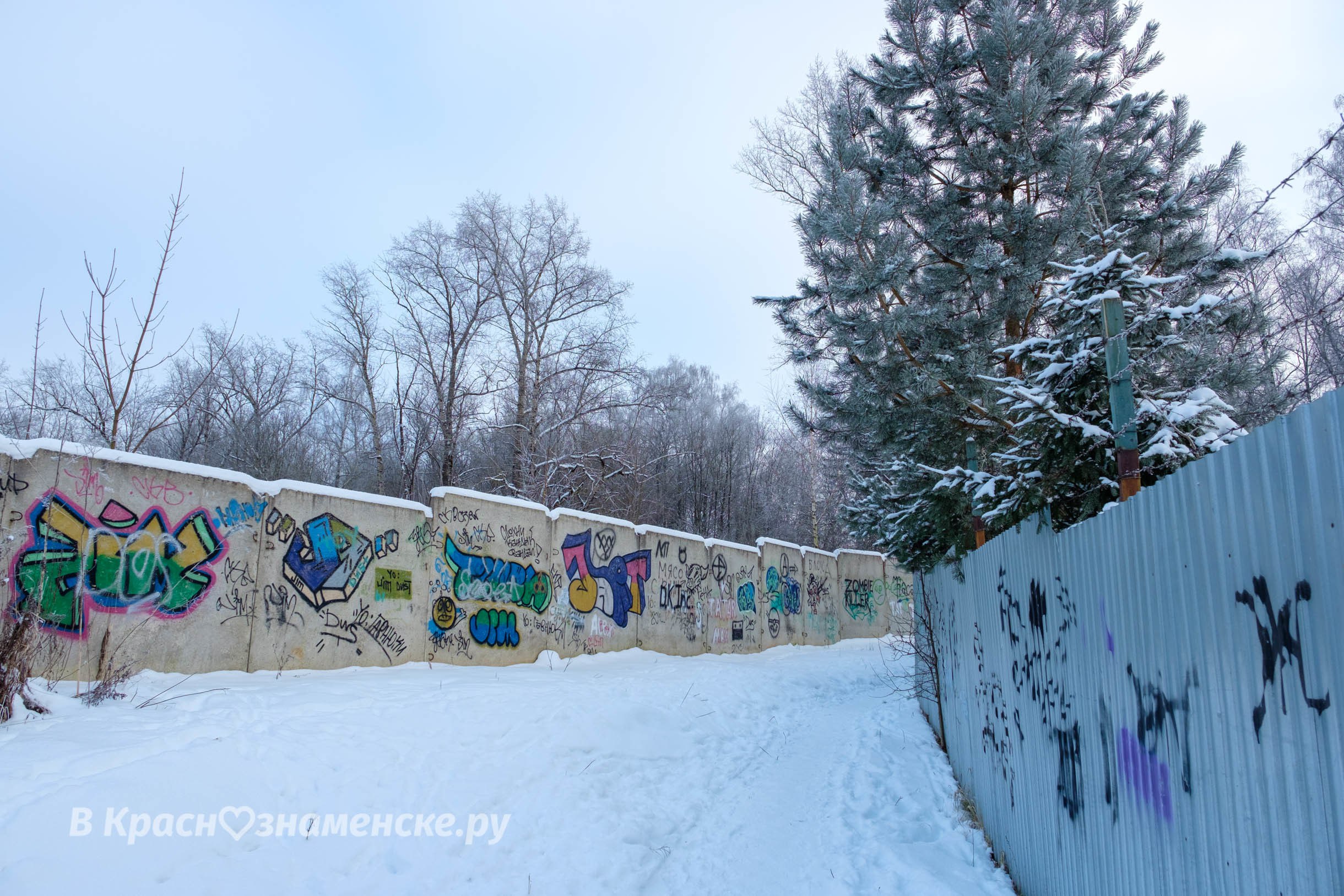 Фото 56549