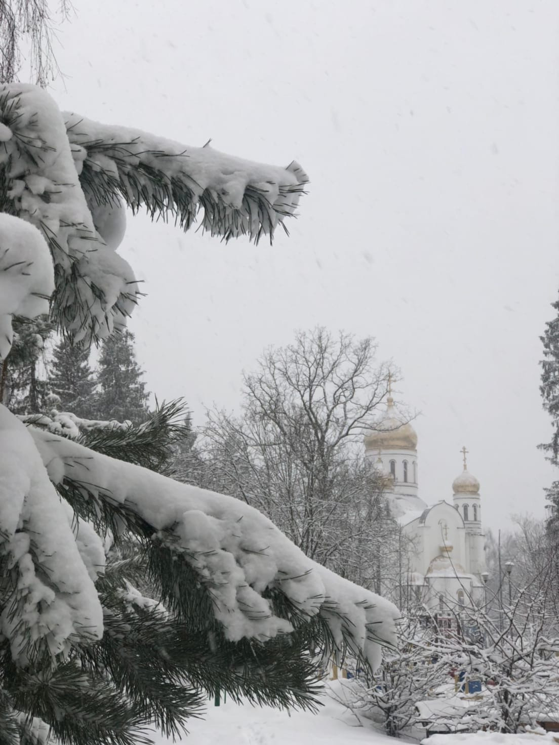 2 апреля #Весна наступила, а #Зима вернулась! У природы нет — Краснознаменск
