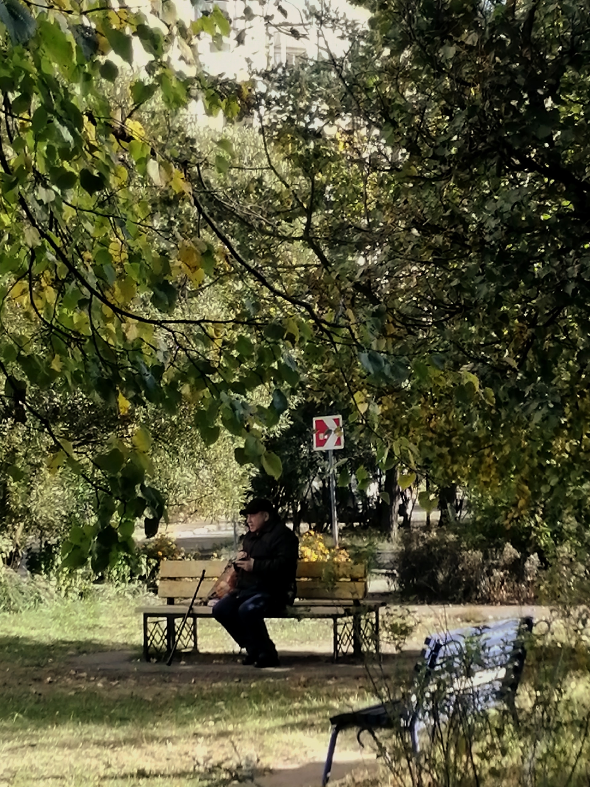 Прогулка по городу. ???? Наталья Меняйлова.