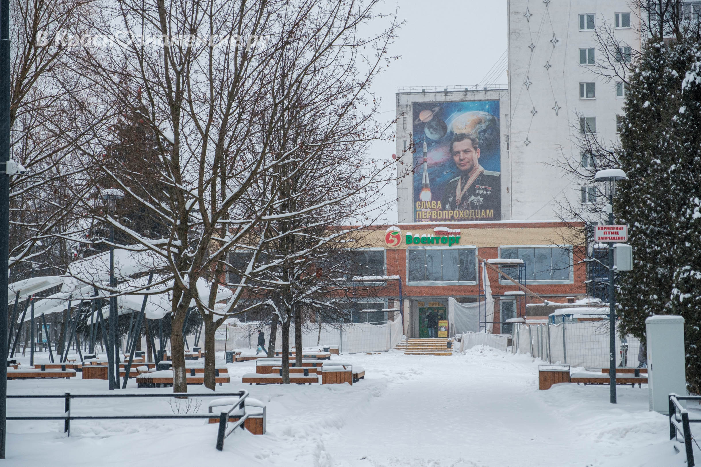 Фото 41194 — Краснознаменск