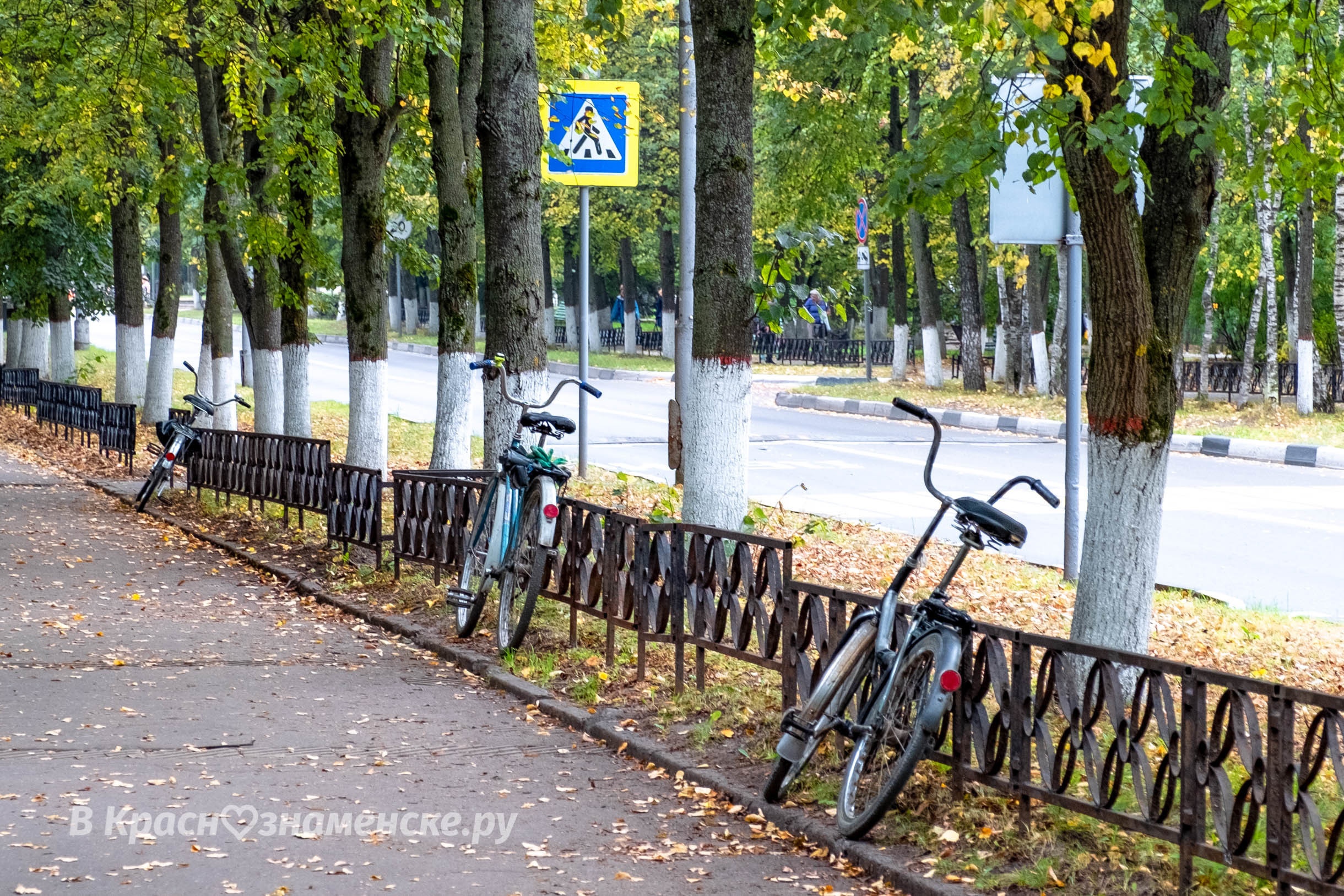 Доброе утро, Краснознаменск! Утром +9°...+20°, Ясно, Давлени