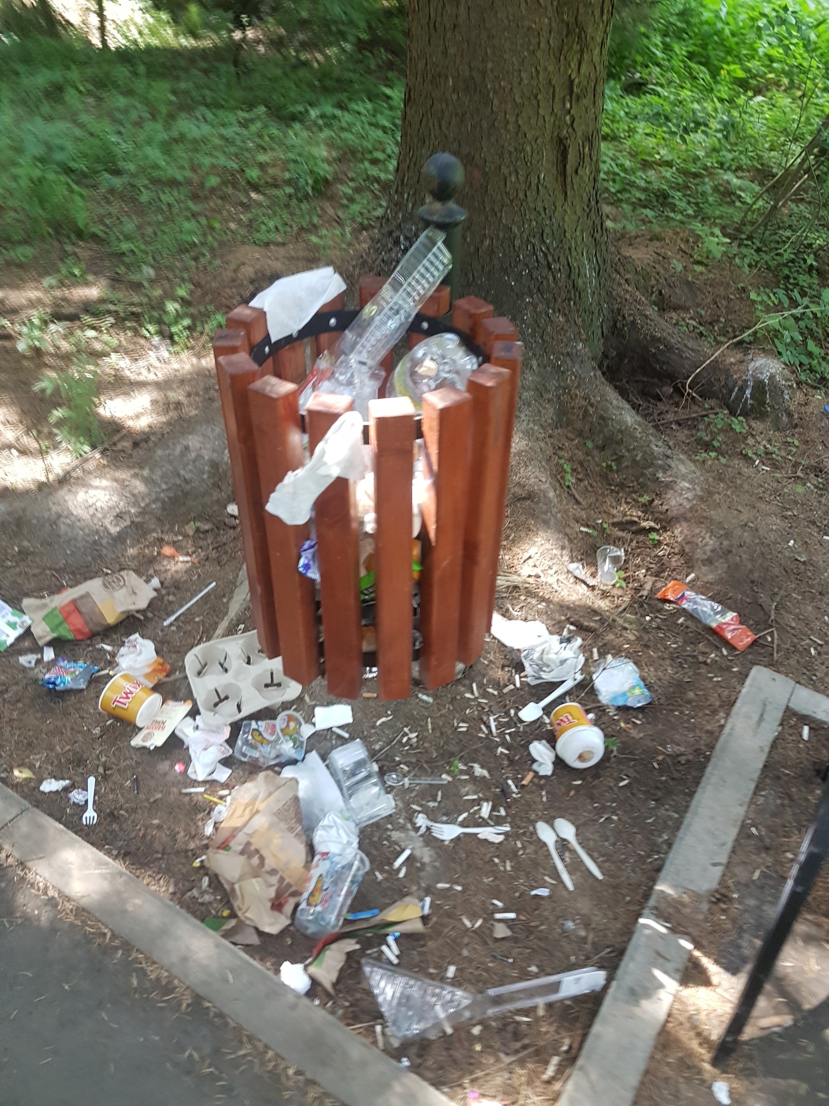 Прогулка в парке. Без комментариев...