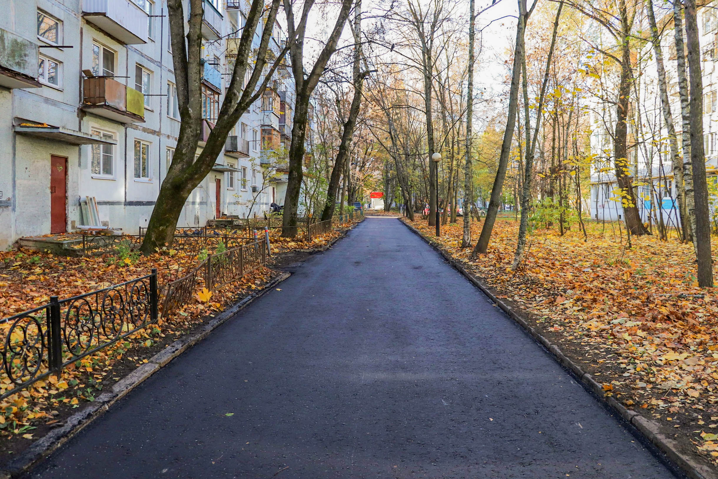 Фото 35779 — Краснознаменск